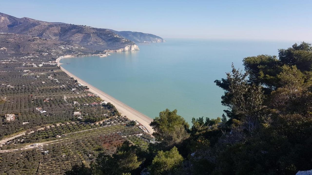 Tenuta Santa Maria Mattinata Bagian luar foto