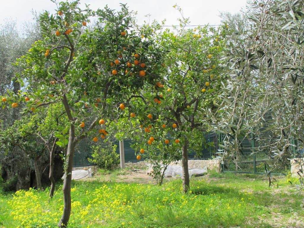 Tenuta Santa Maria Mattinata Ruang foto