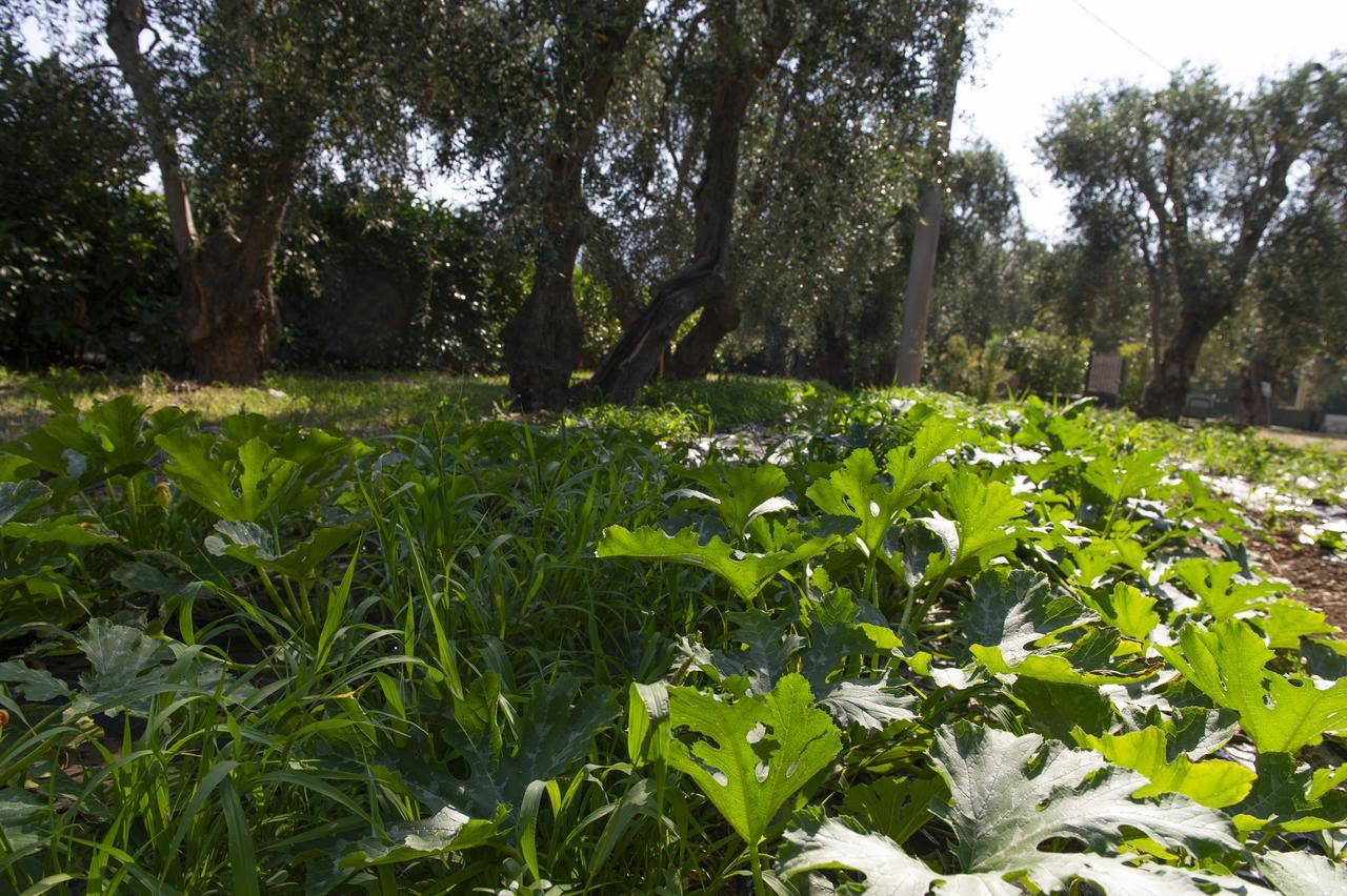 Tenuta Santa Maria Mattinata Bagian luar foto