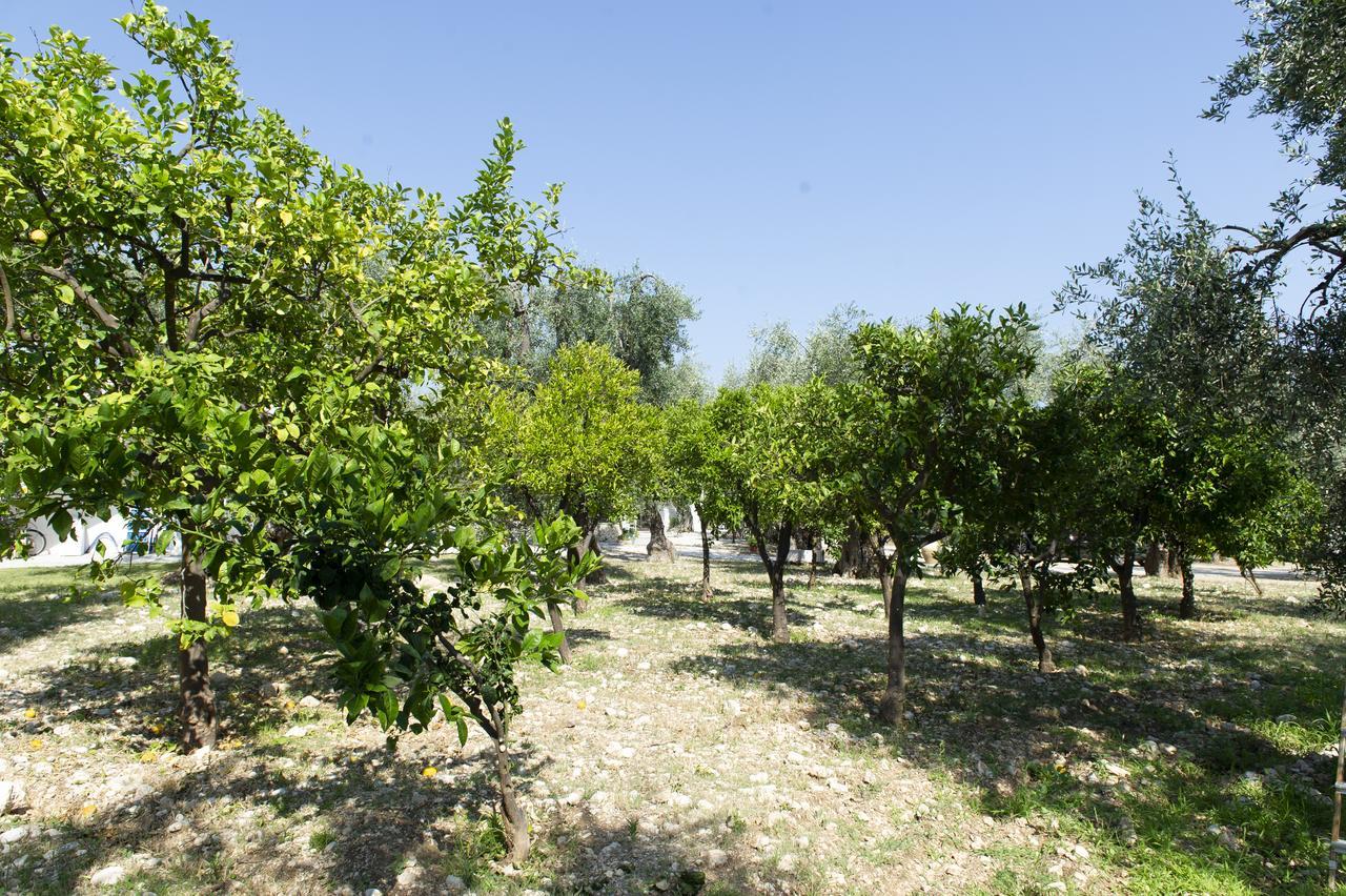 Tenuta Santa Maria Mattinata Bagian luar foto